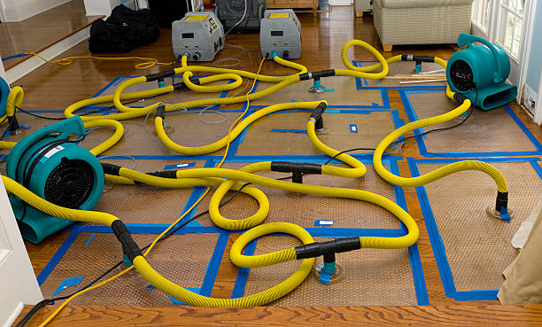 Professional Structural Drying And Dehumidification technician working in Mineral Ridge, OH